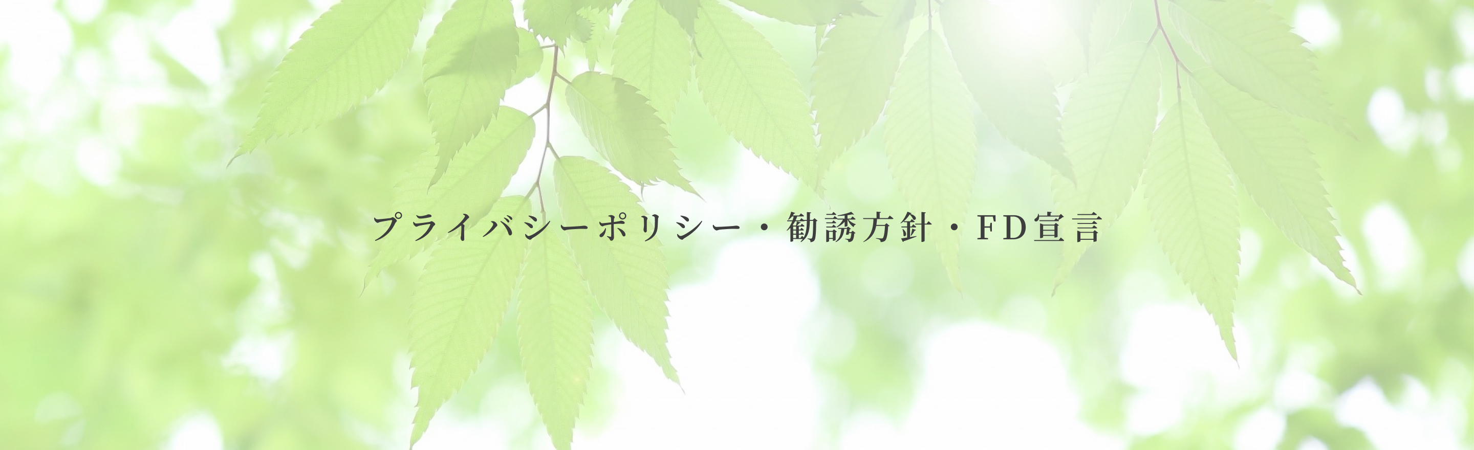 プライバシーポリシー・勧誘方針・FD宣言